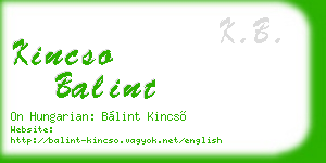 kincso balint business card