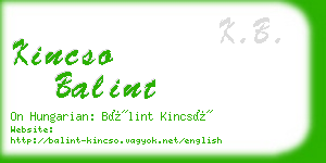 kincso balint business card